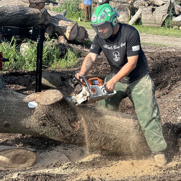 FIREWOOD Tree Service Champaign IL
Arborist Champaign IL
Tree Removal Champaign IL