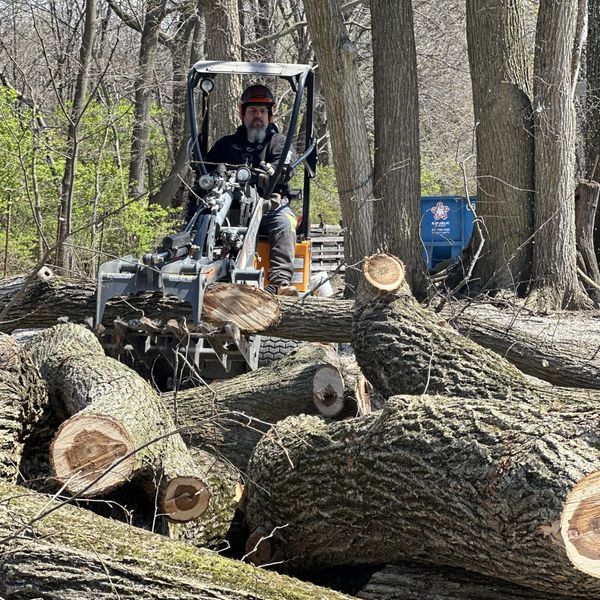 FIREWOOD Tree Service Champaign IL
Arborist Champaign IL
Tree Removal Champaign IL