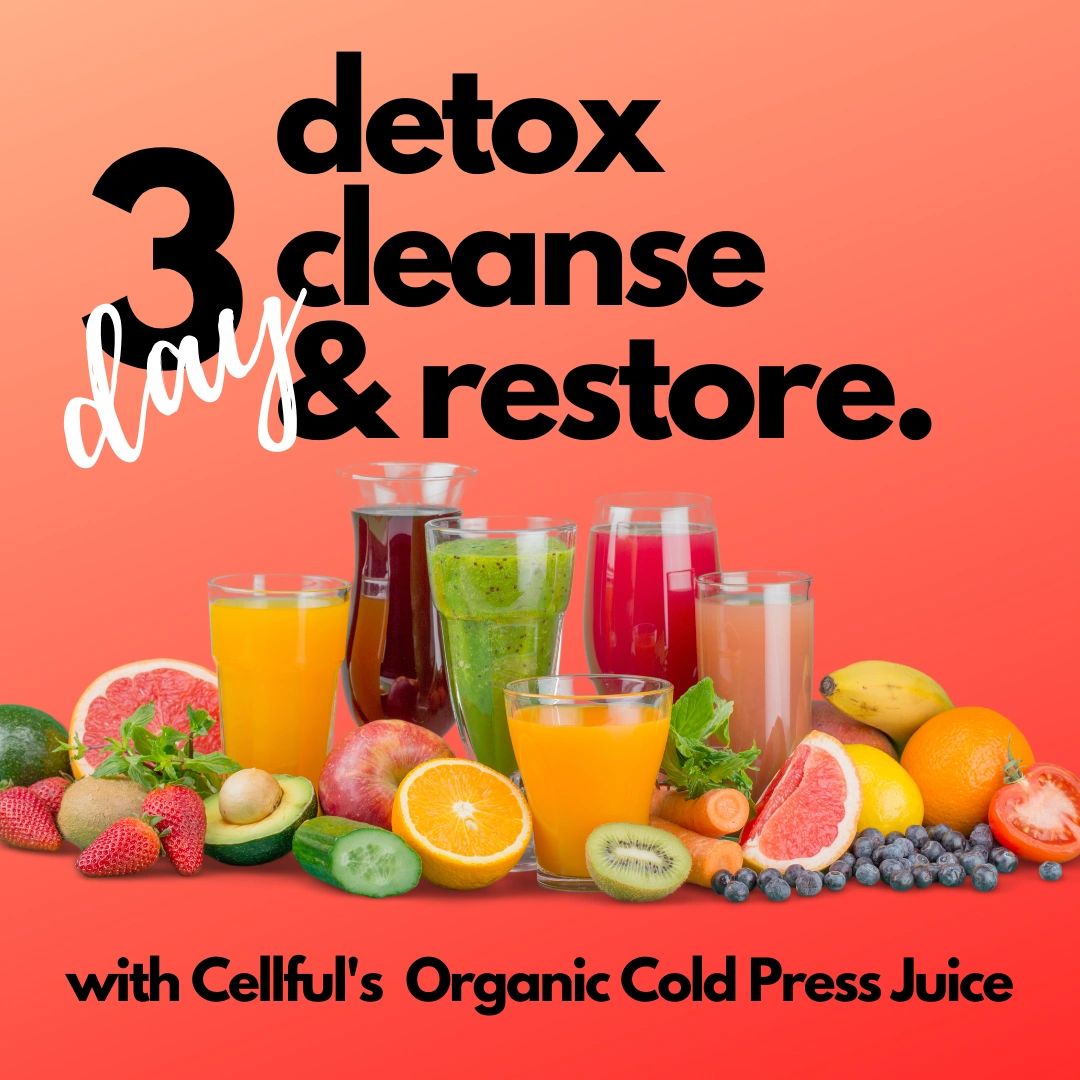 3 Day Detox Cleanse & Restore (18) Bottles of Nutrients, Minerals, Vitamins  and Live Enzymes