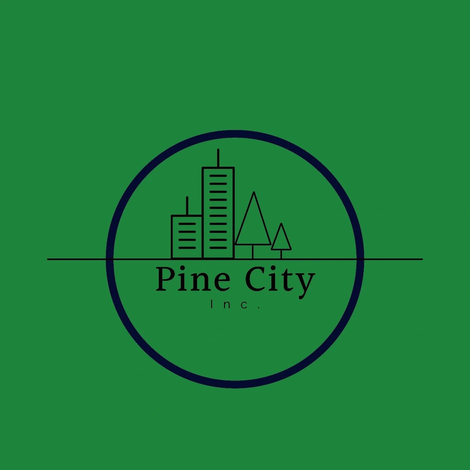 Pine City Inc