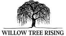 Willow Tree Rising