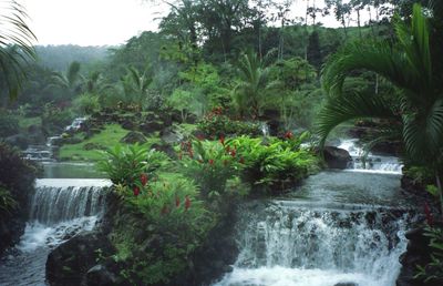 Tabacon Volcanic Hot Springs, Costa Rica