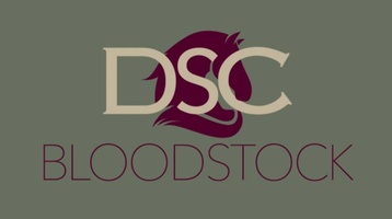 DSC Bloodstock