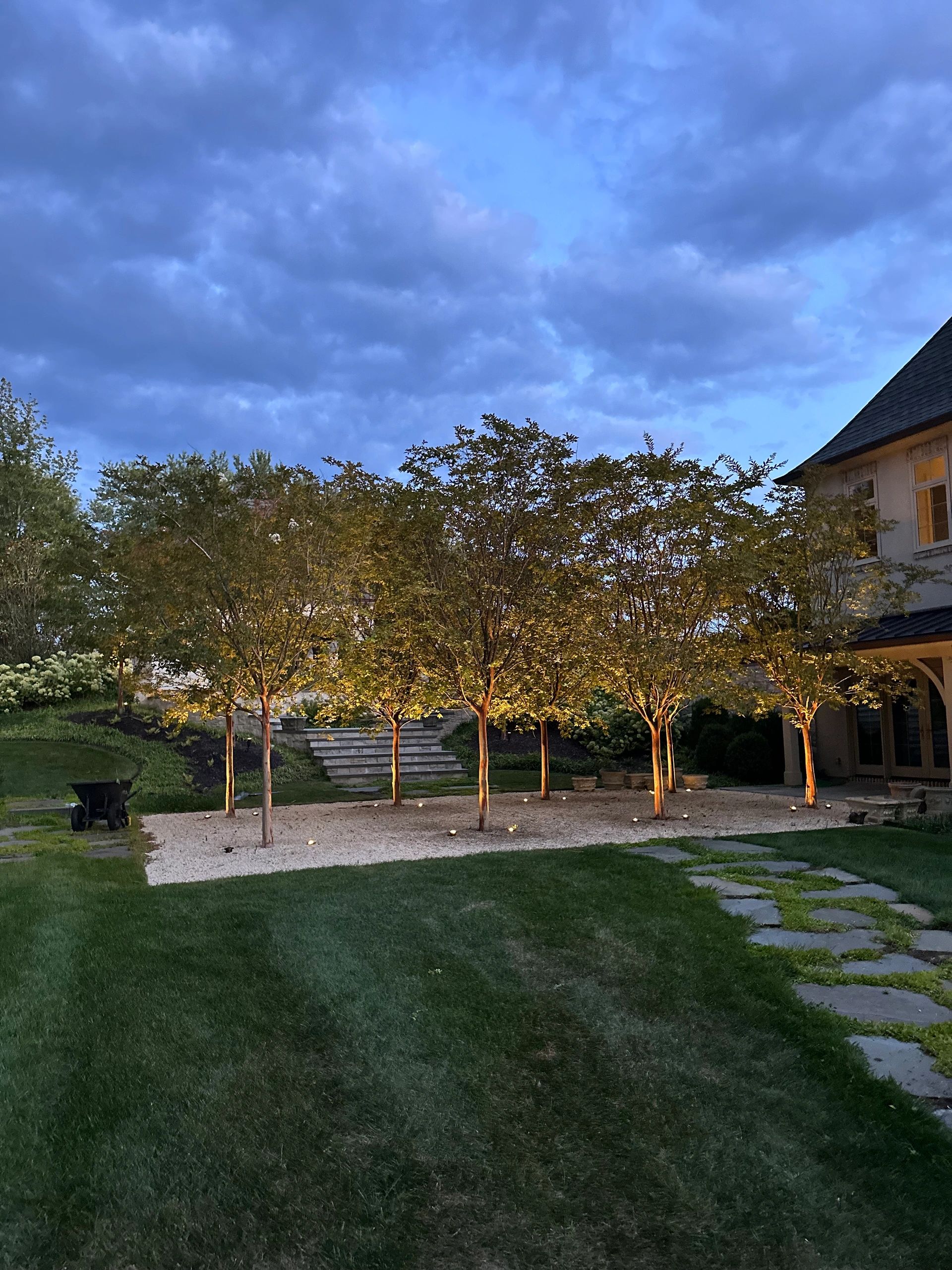 Evening garden with illuminated trees and cloudy sky.