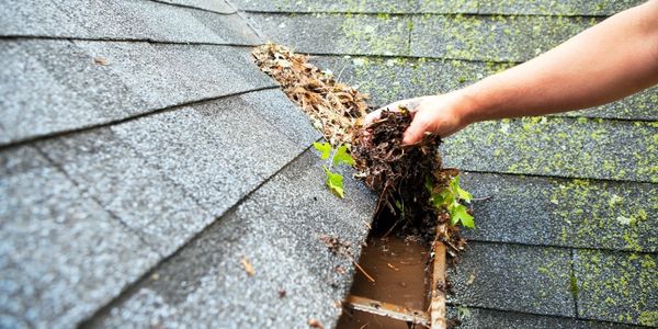 gutters being cleaned for leaves and debris.
