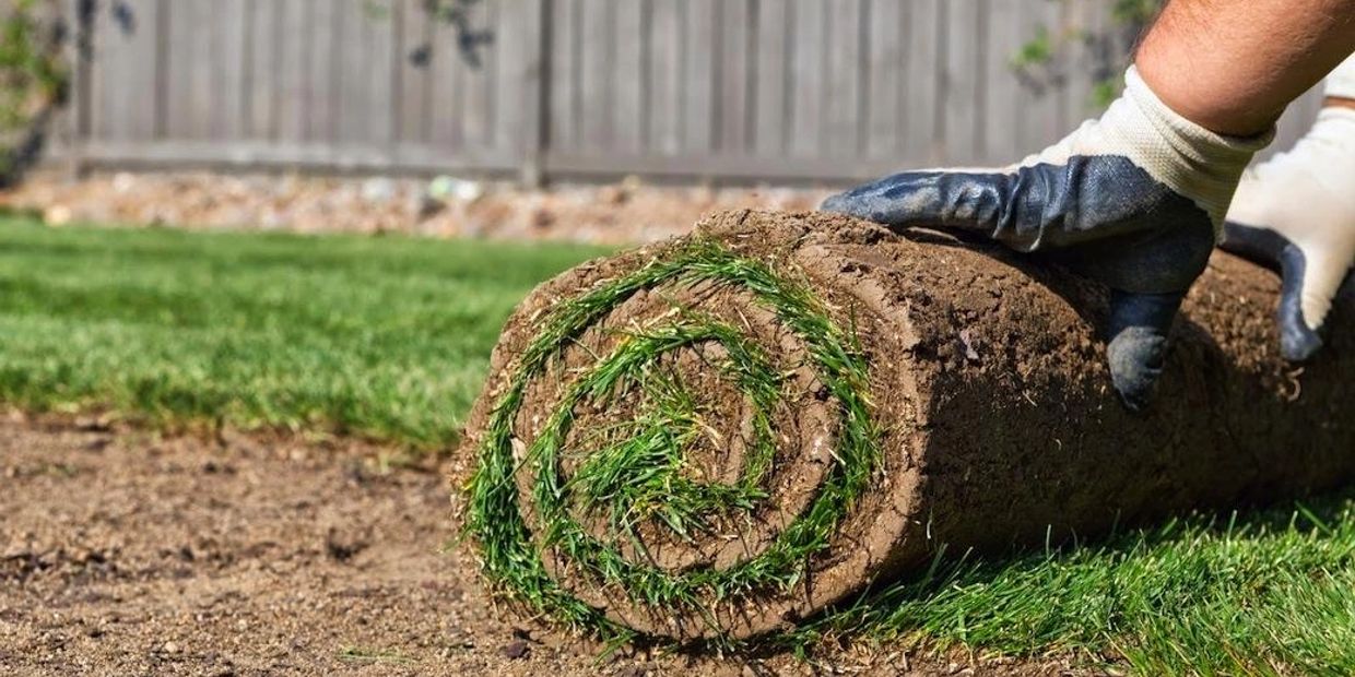 Roll of sod being installed over fresh soil. Delivered to the customer. 
