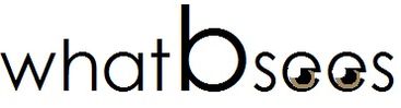 What B Sees