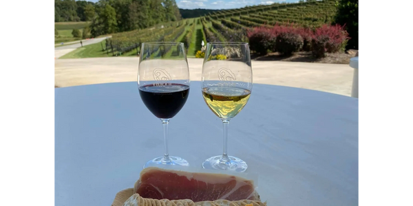 Travel by Deanna Wine Tasting Trip Vacation