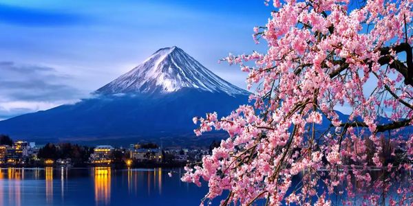 Mount Fuji with cherry blossoms in full bloom by a lake at twilight.