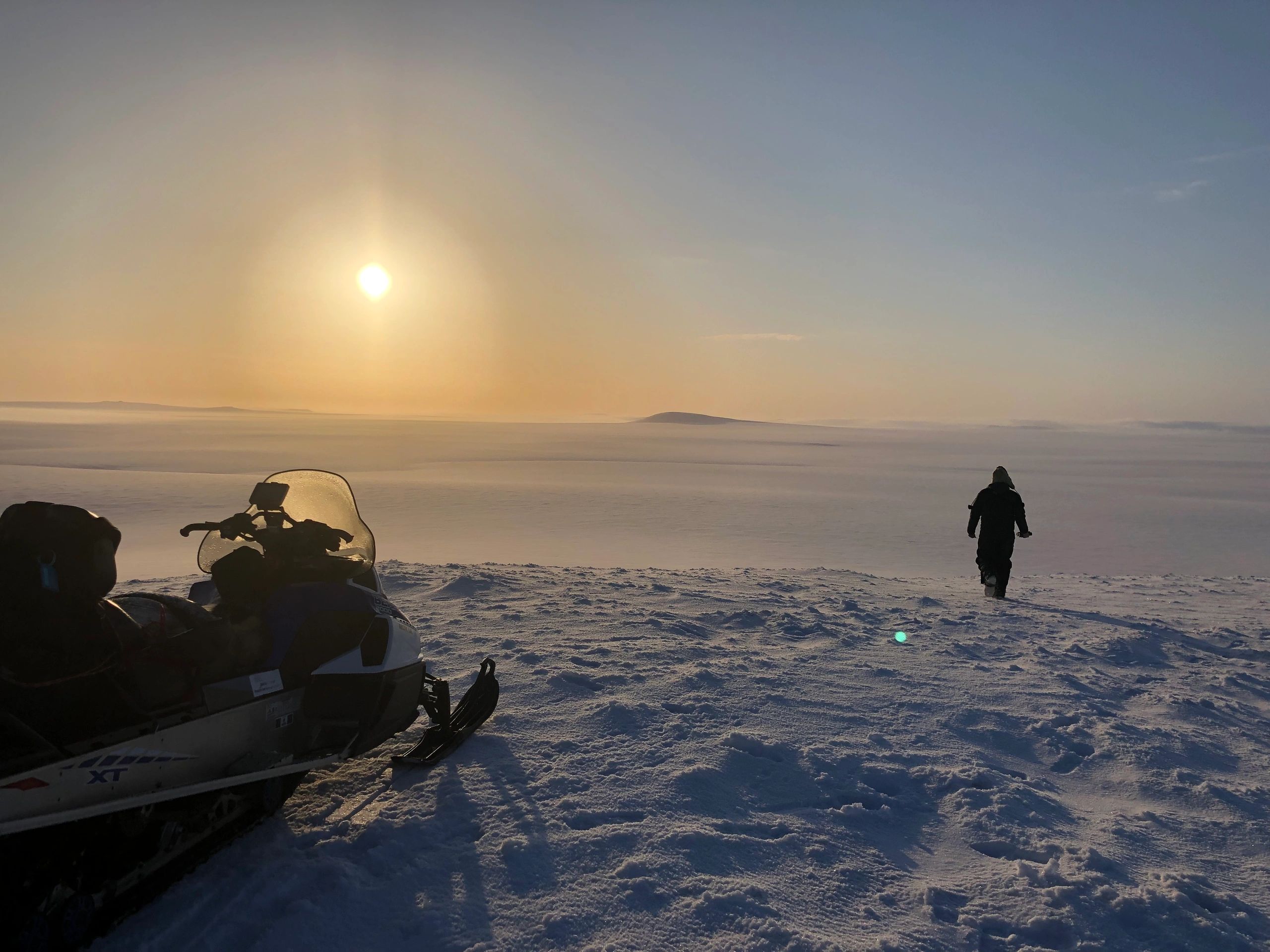 Musk Ox, Transport Hunting Nunivak Transport Mekoryuk, Alaska