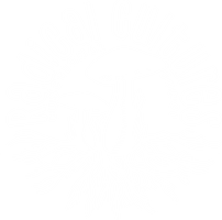 Radical Cultures