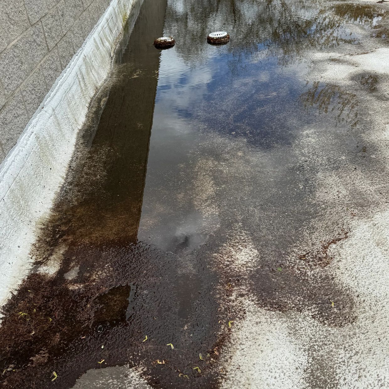 Lack Of Maintenance Caused Drains to Back Up