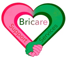 Bricare Support Services