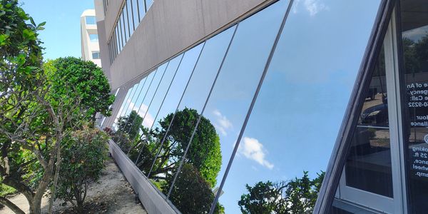 Building windows reflecting trees and sky.