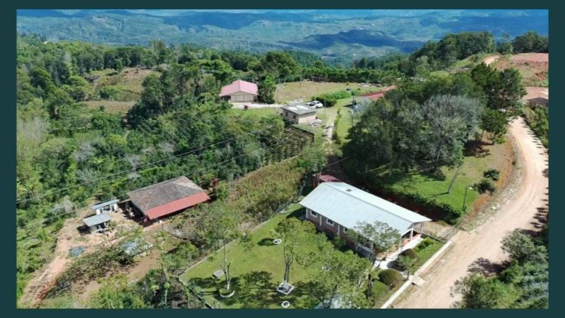Honduras Photos.jpg