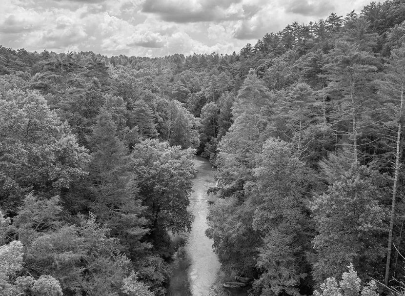 A river runs through a dense green forest under a cloudy sky in ellijay, georgia