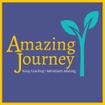 Amazing Journey