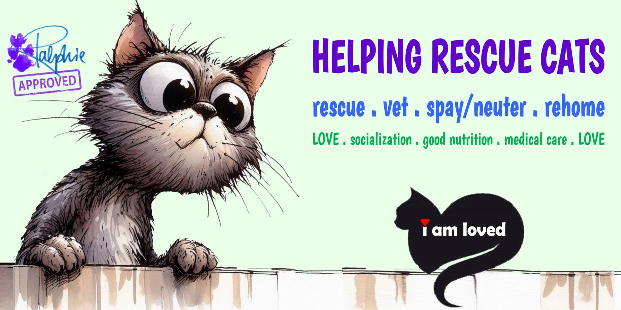 Cute cartoon cat promoting cat rescue and care.