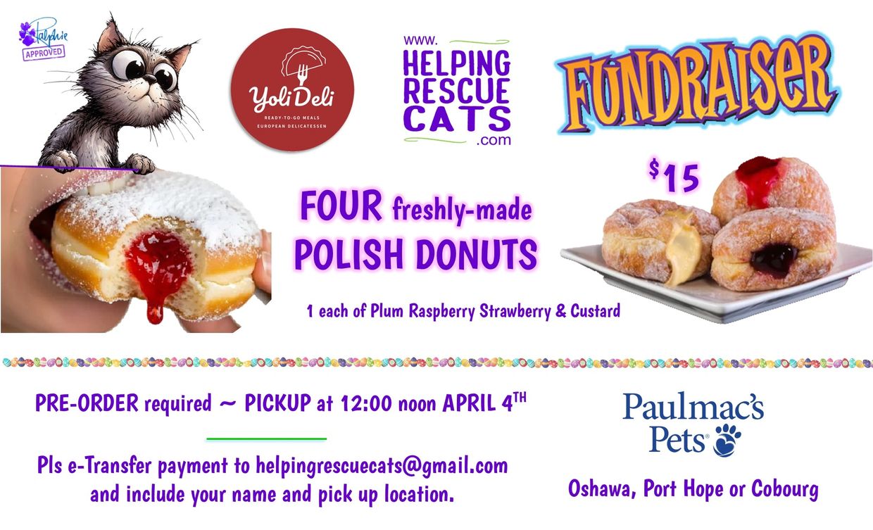 Fundraiser for Polish donuts supporting rescue cats.