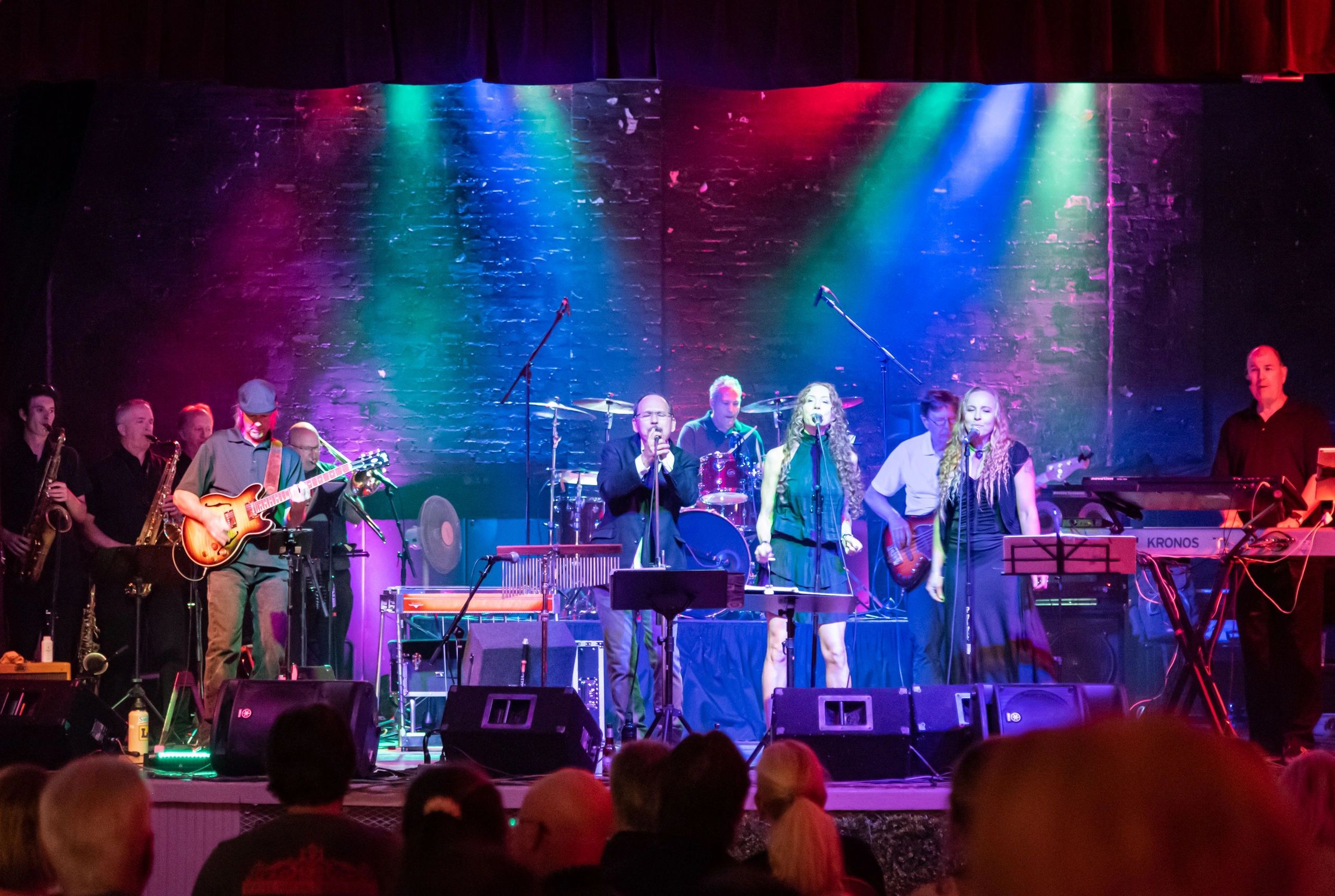 Citizen Dan Live Music, Steely Dan Tribute Band, Live Music, Band