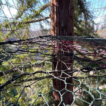 Custom Treenets  Quality Tree Net Weaving Services