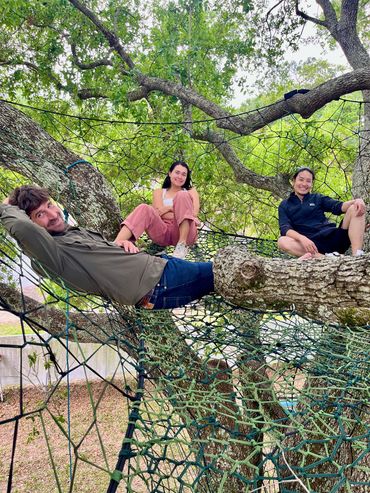Three friends relaxing on tree branches and a net hammock outdoors.
