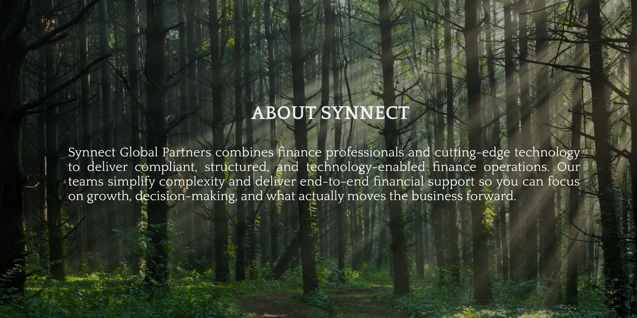 A forest background with text about Synnect's finance and technology services.