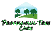 Professional Tree Care