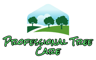 Professional Tree Care