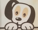 Dandi Puppies 
