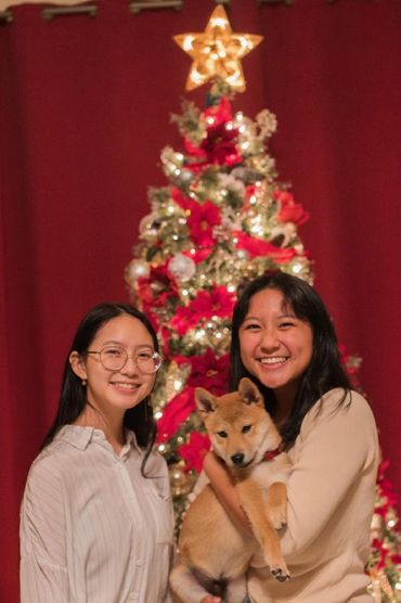 Christmas Shiba Inu