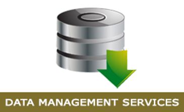 Data Management Services