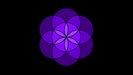 Kindred Path Institute