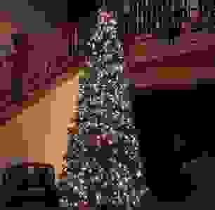 Tall Decorated Christmas Tree in Foyer of The Lodge