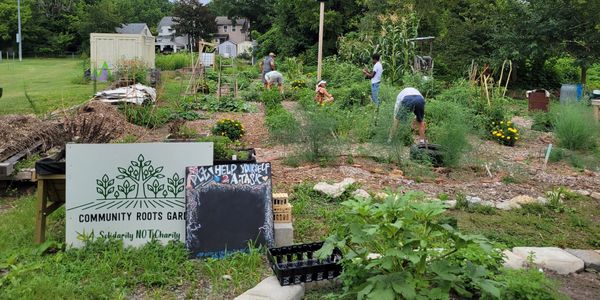 Community Roots Garden by Richmond Indigenous Society