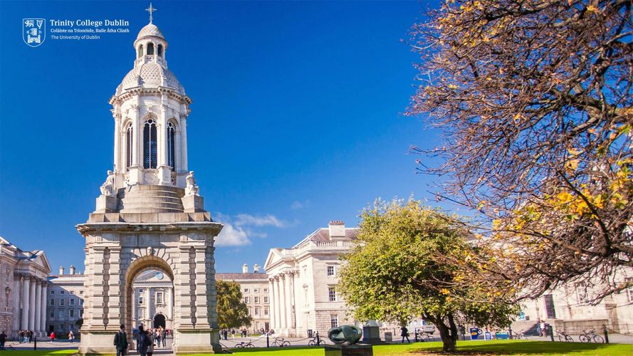 TCD