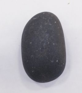 shaligram