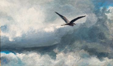 heron en vol