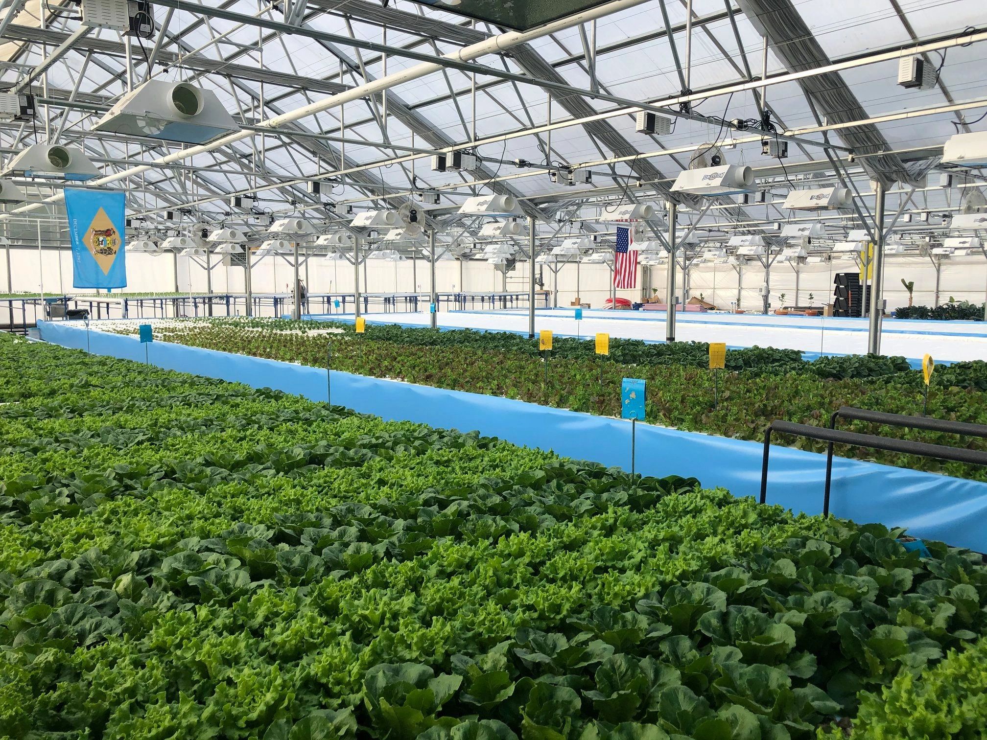 Aquaponics for africa Global Aquaponic and Hydroponic System Market 2021 Industry Analysis, Size, Share, Growth, Trend and Forecast to 2027