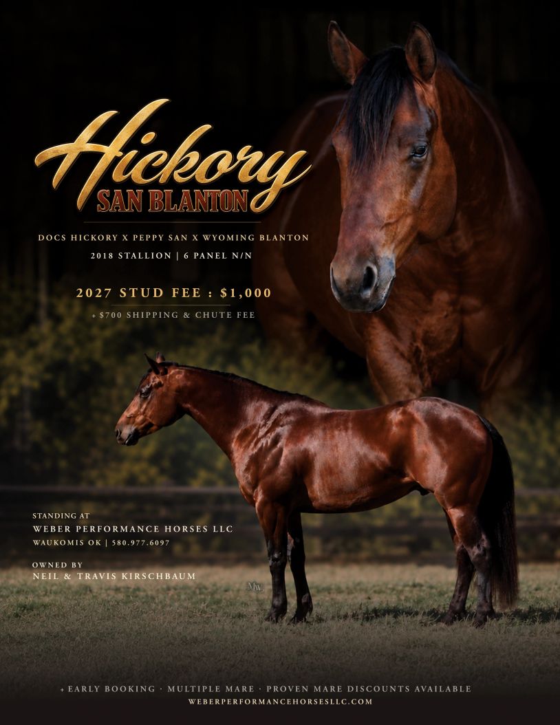 Bay stallion Hickory San Blanton standing in field with stud fee information.