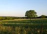 image12