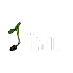 MicroElevated