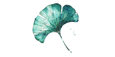 Watercolor painting of a blue-green ginkgo leaf.
