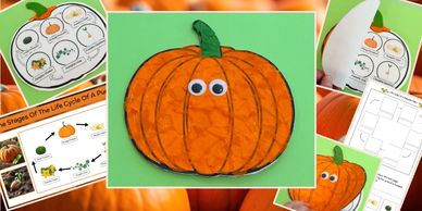 Life Cycle of a Pumpkin Craft