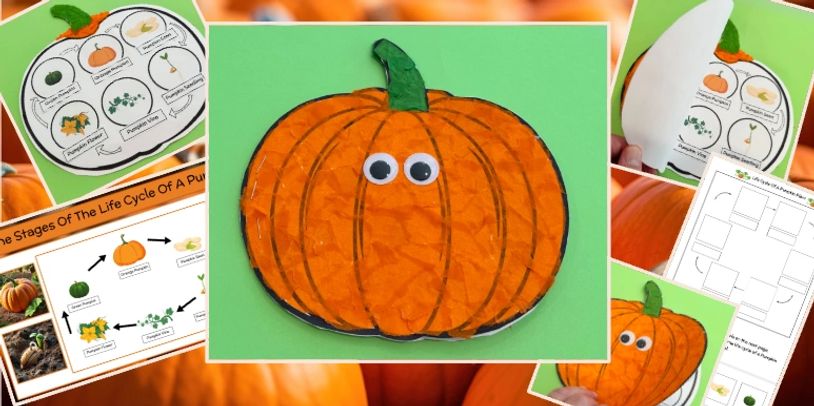 A cute pumpkin craft with googly eyes and life cycle learning sheets.