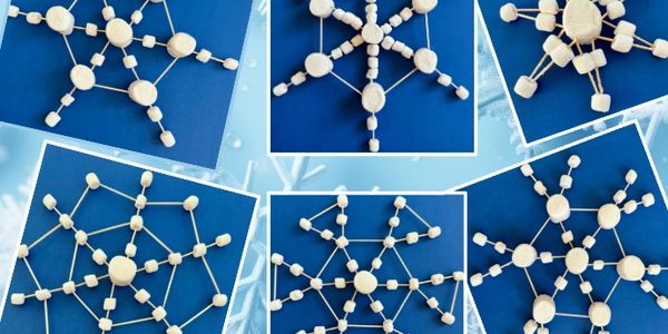 Marshmallow and toothpick snowflake activity