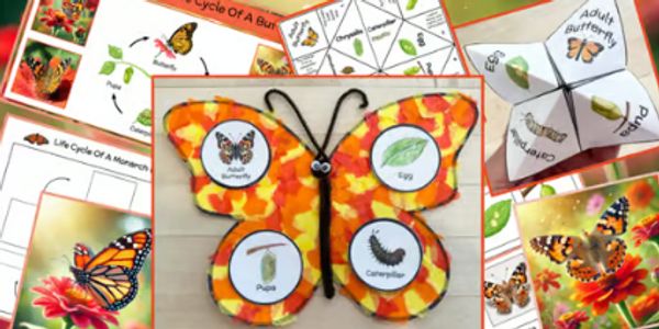 Butterfly Life Cycle Craft