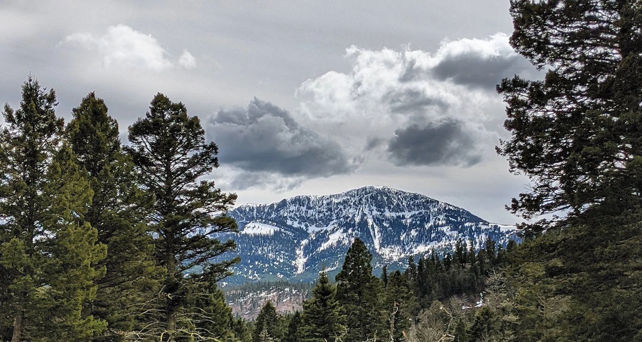 Everything but my name