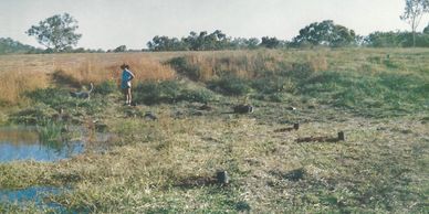 Planting our native garden around our billabong at Art Muntalunga in 1990.