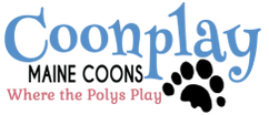 Coonplay Maine Coons